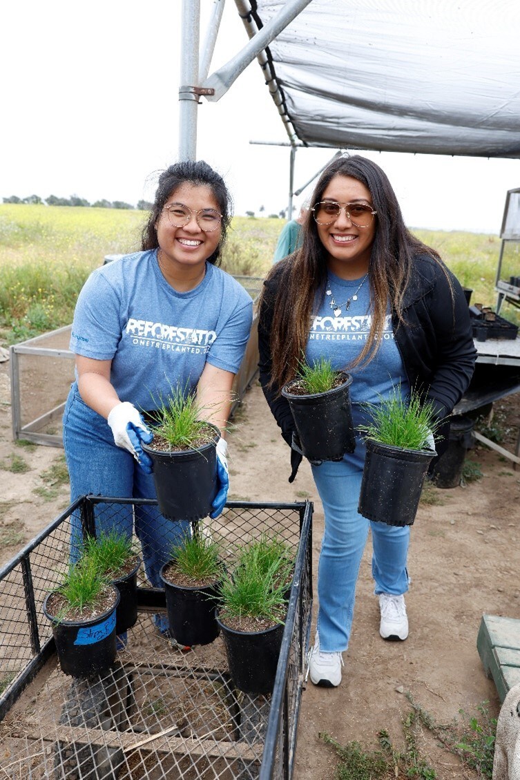 Hyundai and One Tree Planted Advance Partnership to Plant an Additional 300,000 Trees Across North America